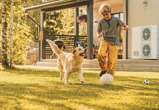 Ein Kind spielt an einem sonnigen Herbsttag im Garten Fußball mit einem goldenen Retriever vor einem modernen Haus.