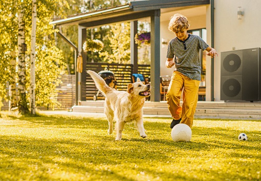 Ein Kind spielt an einem sonnigen Herbsttag im Garten Fußball mit einem goldenen Retriever vor einem modernen Haus.
