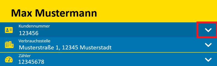 Kundenportal_Kundennummer_auswählen