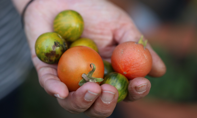 August:&nbsp;<br>Teilen und Helfen