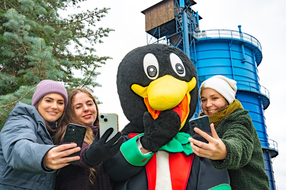 Drei Frauen und ein Pinguin schauen auf ihre Handys und entdecken den Adventskalender der Stadtwerke Bernau